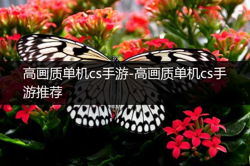 高画质单机cs手游-高画质单机cs手游推荐