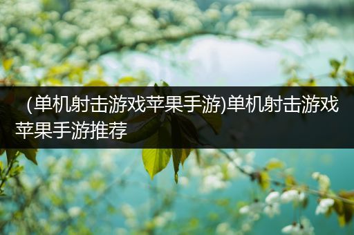 （单机射击游戏苹果手游)单机射击游戏苹果手游推荐