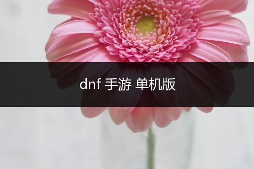 dnf 手游 单机版