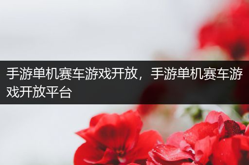 手游单机赛车游戏开放，手游单机赛车游戏开放平台