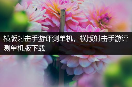 横版射击手游评测单机，横版射击手游评测单机版下载