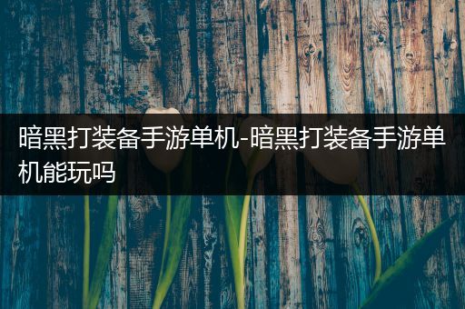 暗黑打装备手游单机-暗黑打装备手游单机能玩吗