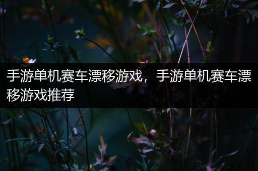 手游单机赛车漂移游戏，手游单机赛车漂移游戏推荐