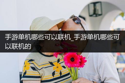 手游单机哪些可以联机_手游单机哪些可以联机的