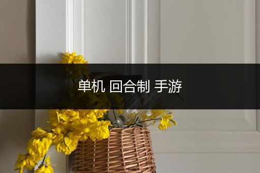 单机 回合制 手游