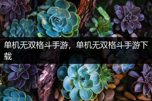 单机无双格斗手游，单机无双格斗手游下载