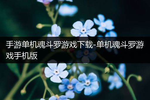 手游单机魂斗罗游戏下载-单机魂斗罗游戏手机版