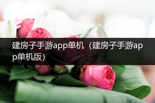 建房子手游app单机（建房子手游app单机版）