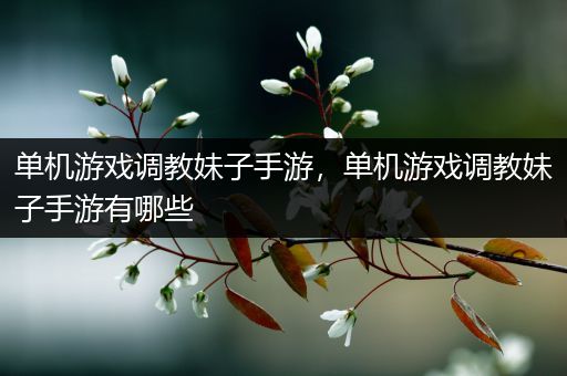 单机游戏调教妹子手游，单机游戏调教妹子手游有哪些