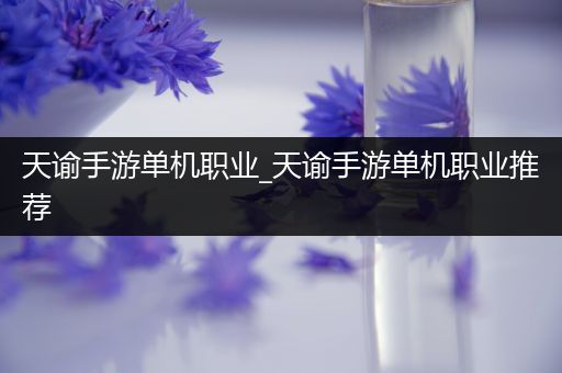 天谕手游单机职业_天谕手游单机职业推荐