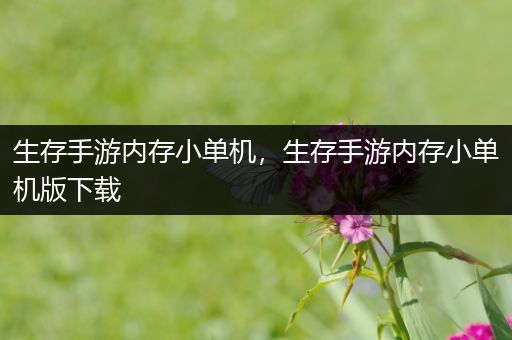 生存手游内存小单机，生存手游内存小单机版下载