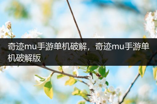 奇迹mu手游单机破解，奇迹mu手游单机破解版