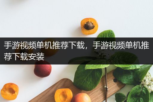 手游视频单机推荐下载，手游视频单机推荐下载安装