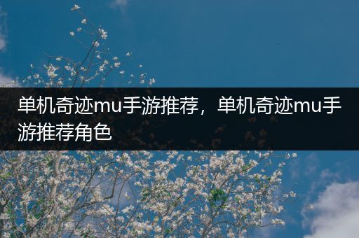 单机奇迹mu手游推荐，单机奇迹mu手游推荐角色