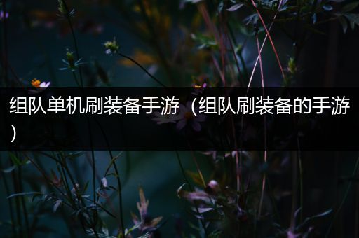 组队单机刷装备手游（组队刷装备的手游）