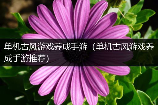 单机古风游戏养成手游（单机古风游戏养成手游推荐）