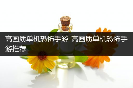 高画质单机恐怖手游_高画质单机恐怖手游推荐