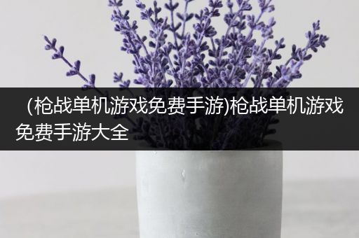 （枪战单机游戏免费手游)枪战单机游戏免费手游大全