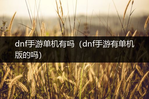 dnf手游单机有吗（dnf手游有单机版的吗）