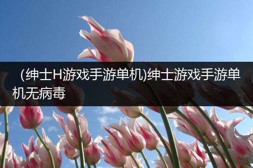 （绅士H游戏手游单机)绅士游戏手游单机无病毒