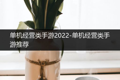 单机经营类手游2022-单机经营类手游推荐