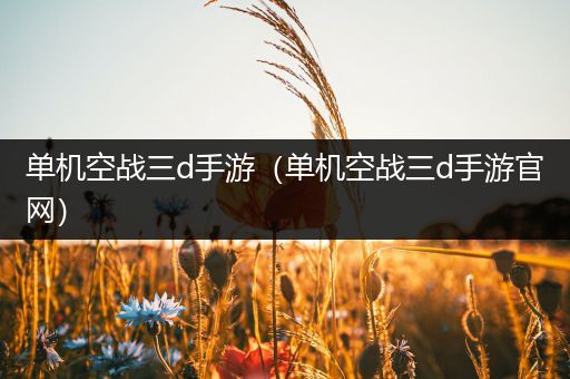 单机空战三d手游（单机空战三d手游官网）