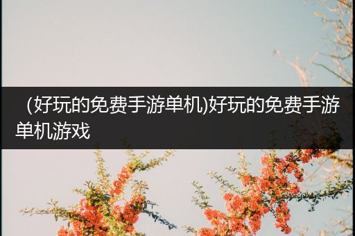 （好玩的免费手游单机)好玩的免费手游单机游戏