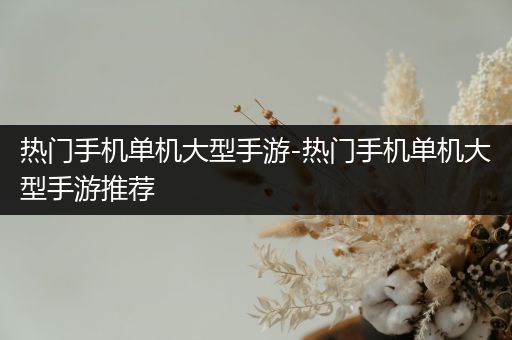 热门手机单机大型手游-热门手机单机大型手游推荐