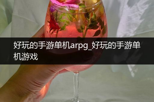 好玩的手游单机arpg_好玩的手游单机游戏