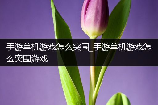 手游单机游戏怎么突围_手游单机游戏怎么突围游戏