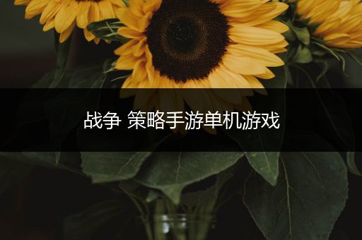 战争 策略手游单机游戏