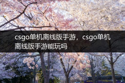 csgo单机离线版手游，csgo单机离线版手游能玩吗