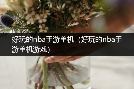 好玩的nba手游单机（好玩的nba手游单机游戏）