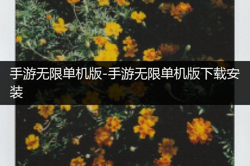 手游无限单机版-手游无限单机版下载安装