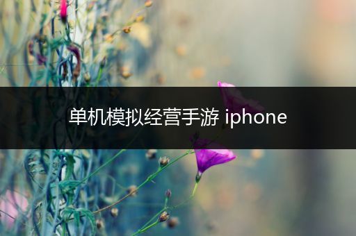 单机模拟经营手游 iphone