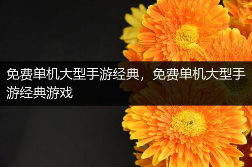 免费单机大型手游经典，免费单机大型手游经典游戏