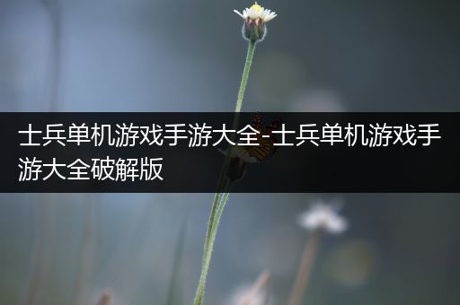 士兵单机游戏手游大全-士兵单机游戏手游大全破解版