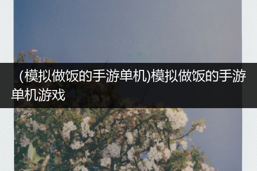 （模拟做饭的手游单机)模拟做饭的手游单机游戏