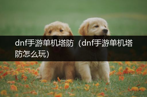 dnf手游单机塔防（dnf手游单机塔防怎么玩）