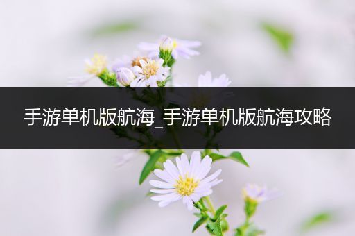 手游单机版航海_手游单机版航海攻略