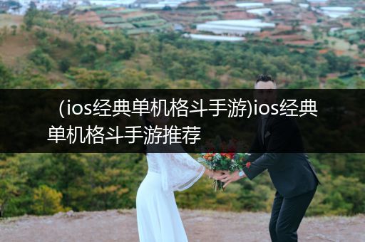 （ios经典单机格斗手游)ios经典单机格斗手游推荐