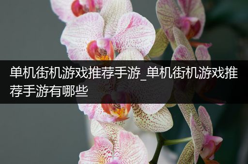 单机街机游戏推荐手游_单机街机游戏推荐手游有哪些