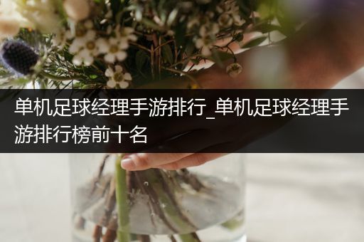 单机足球经理手游排行_单机足球经理手游排行榜前十名