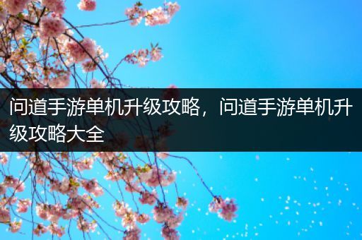 问道手游单机升级攻略，问道手游单机升级攻略大全