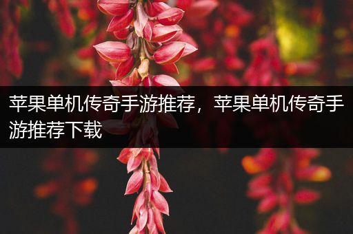 苹果单机传奇手游推荐，苹果单机传奇手游推荐下载