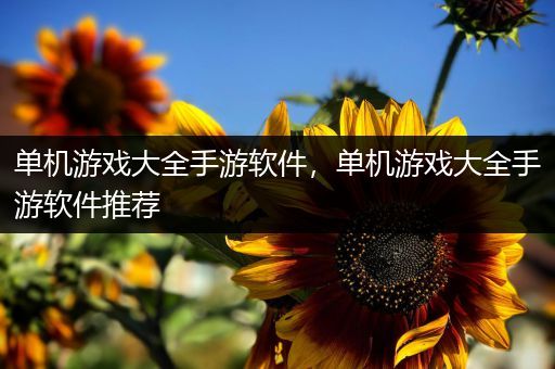 单机游戏大全手游软件，单机游戏大全手游软件推荐