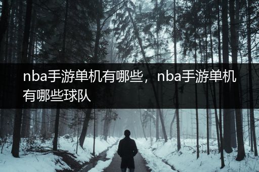 nba手游单机有哪些，nba手游单机有哪些球队