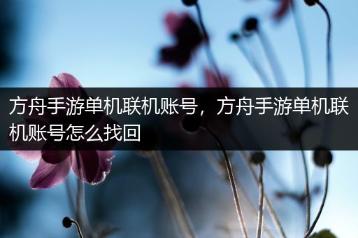 方舟手游单机联机账号，方舟手游单机联机账号怎么找回