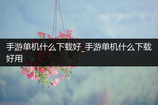 手游单机什么下载好_手游单机什么下载好用