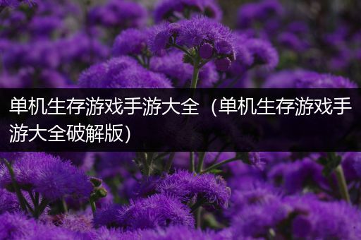 单机生存游戏手游大全（单机生存游戏手游大全破解版）